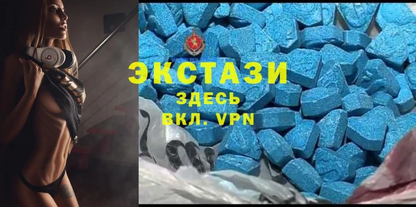 индика Абаза