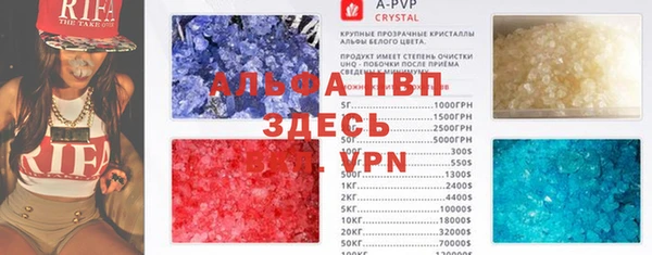 индика Абаза