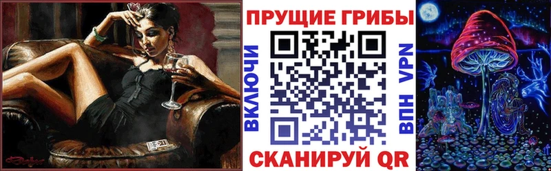 Галлюциногенные грибы мухоморы  mega   нарко площадка какой сайт  Вилючинск 
